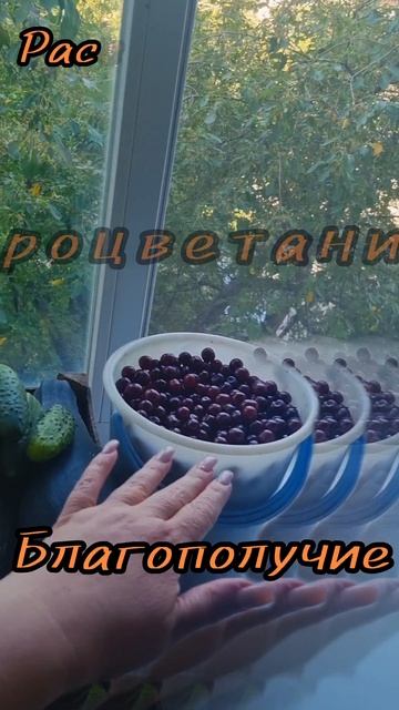 9 сентября.
АСТРОЛОГИЯ ДНЯ.

Преодоление препятствий ,  работа.
(Приведет к успеху.)
Комфорт, процве