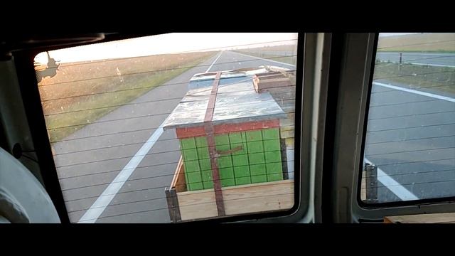 Куда мы едем? На гречку.) Пчёлы и гречка рады видеть вас