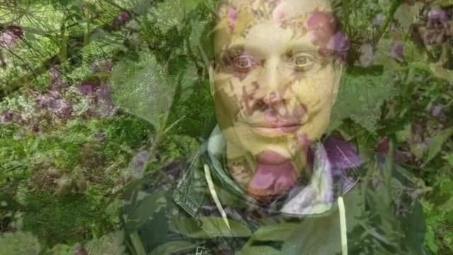 Стихотворение. "Возьми на радость из моих ладоней" смотреть онлайн