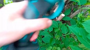 Аккумуляторный безщëточный типо Makita🤣 секатор с OZON