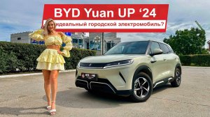 Кто такой Yuan UP?