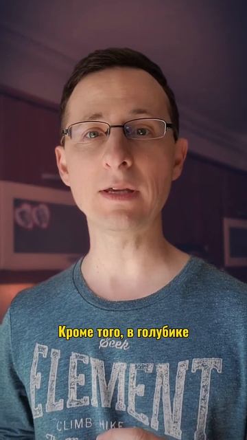 Секрет голубики - звёздная ягода