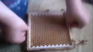 Джентерский сот (основные детали) bee.kr.ua