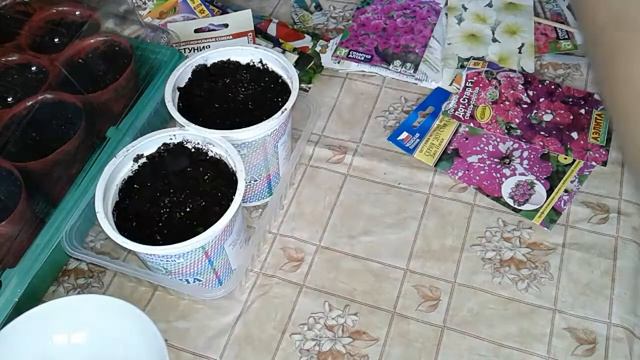 ПЕТУНИЯ! ПОСЕВ ПЕТУНИИ 3 СПОСОБА! ВСЕГДА ВСХОДИТ! смотреть онлайн