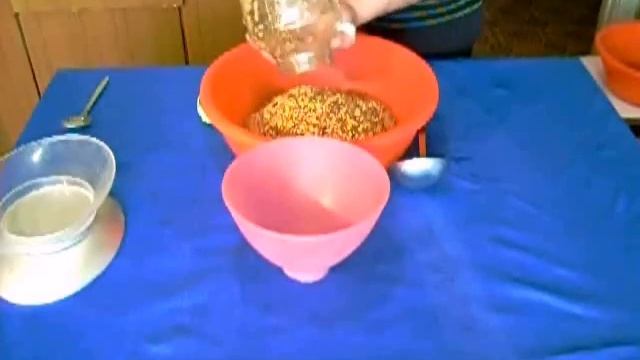 Технология производства мицелия. 1 часть Приготовлени