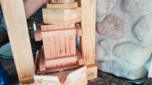 Старинный метод получения мёда. Получаем ивовый мёд п?