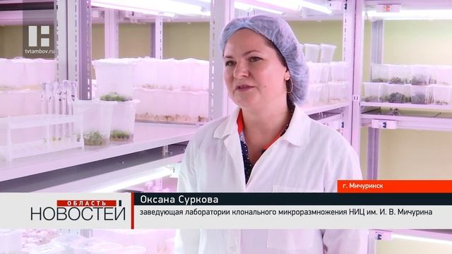 Крыжовник из пробирки выращивают ученые из Тамбовско? смотреть онлайн