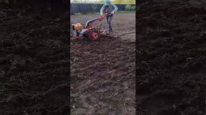 Выравнивание участка мотоблоками 16 мая 2025 г.