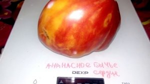 Томат Ананасное бычье сердце PINEAPPLE OXHEART