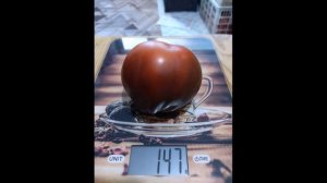 Высокоурожайный, вкусный и сладкий сорт томата Голубо