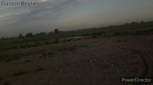 Как выращивают рис в Узбекистане. guruch etishtirish. Daston Beyliev [o