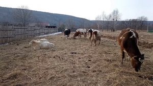 Где лпх взять деньги для развитие?