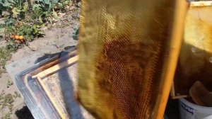 Солнечная воскотопка своими руками