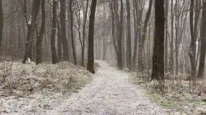 Приметы на 18 марта. Народный праздник "КОНОН ОГОРОДНИК