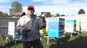 КАК ИСПРАВИТЬ ТРУТНЕВУЮ СЕМЬЮ? ОПАСНОСТЬ ПЧЕЛ ТРУТОВО