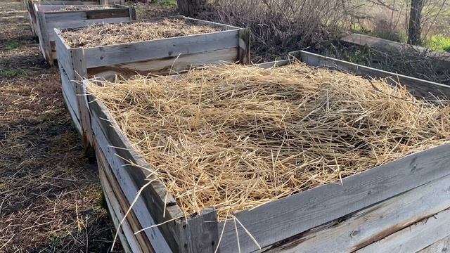 Разведение червя  - хобби или доход. Простое решение ут