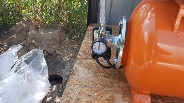 Еврокуб + насосная станция для полива + капельный поли?