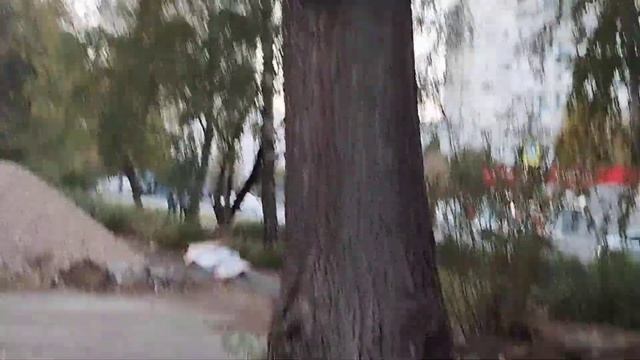 Уничтожение деревьев, кустов и прочей растительности, смотреть онлайн