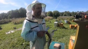 Пластины для борьбы с Варроатозом «Экопласт», эффектив