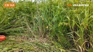 Бензиновый триммер\мотокоса VILLARTEC CB 143 — мощь и универ?