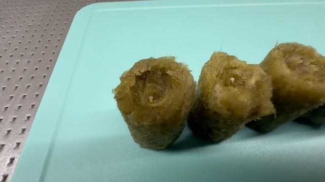 КЛУБНИКА F1 из семян. ПЛЮСЫ И МИНУСЫ для выращивания в к смотреть онлайн