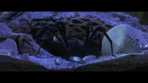 Песня Клип ДИНОЗАВР ПАУК ПОЖИРАТЕЛЬ Rasa ПЧЕЛОВОД ПАРОД