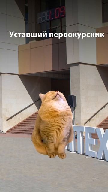 Какой ты первокурсник? смотреть онлайн