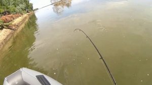 РЫБАЛКА НА ОБИ 11,07,25