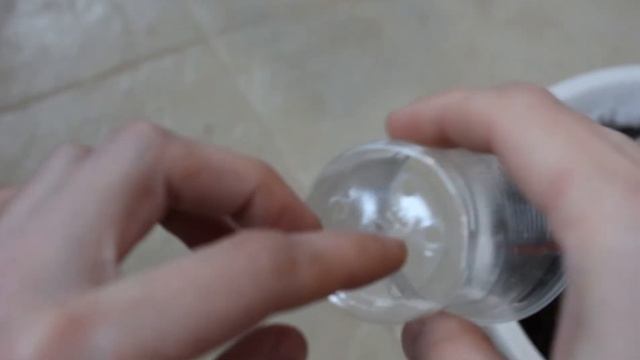 Как вырастить киви. Посев семян. Всходы. //Валентина Зе?