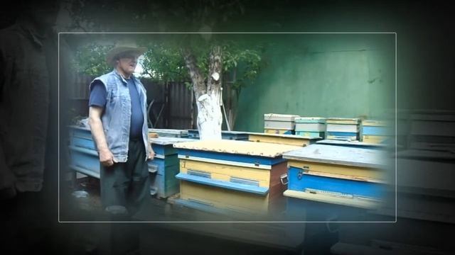Улей не маловажная деталь в пчеловодстве смотреть онлайн