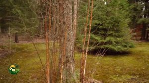 Дом моей мечты! Актриса Евгения Ахременко! Звездная Да