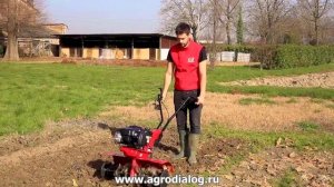 Бензиновый культиватор Eurosystems Z 3