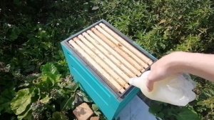 Молочная сыворотка для пчел