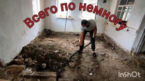 Покос травы-каждый раз как первый;покупки для дома; новый член семьи👍