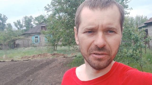 Посадили кукурузу, гарбуз, кабачки и огурцы. смотреть онлайн