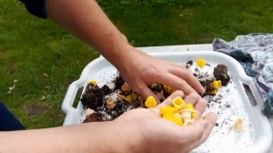 Самый простой способ чистки Никота от воска и прополи?