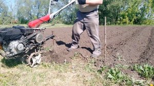 МОТОБЛОК ПРОПОЛКА ЛАПОЙ междурядья картофеля