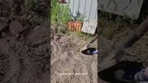 Это просто! Готовим участок под газон с помощью культи