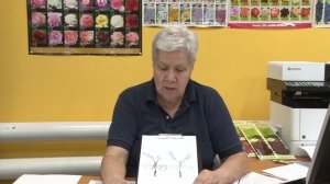 Голова садовая - Вирусные и грибковые заболевания