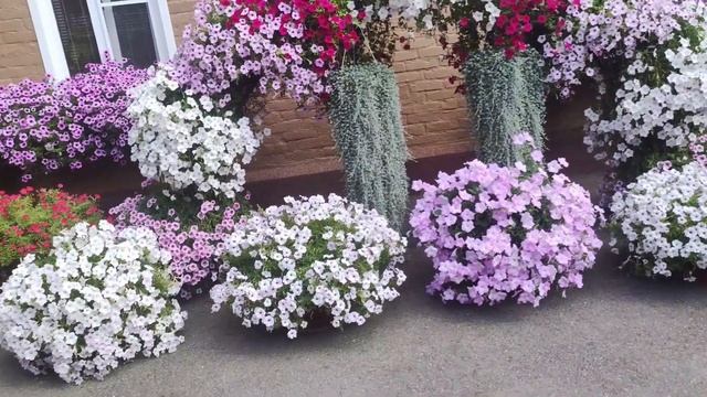 Болят спина и руки от работы в саду. Теперь поливаю тол