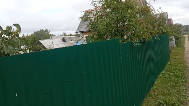 Яблочки сорт - " Кисляк", грибы-" Красные"!!!!))))) смотреть онлайн