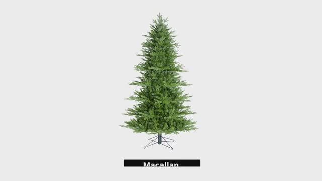Ель Black Box Trees Macallan - Ирландская зелёная смотреть онлайн