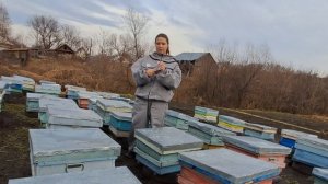 Выбираем костюм пчеловода