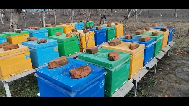 Кубань. На старт ,внимание, марш! смотреть онлайн