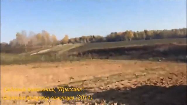 "ПРЕССИНГ".Осенняя выкопка саженцев( 2014). смотреть онлайн