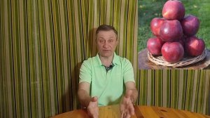 Сорт яблони Подарок Графскому