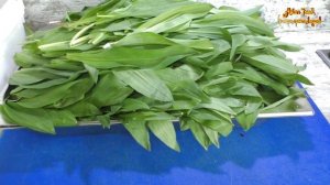 Как солить черемшу, ТРИ ТОПОВЫХ рецепта засолки черем?