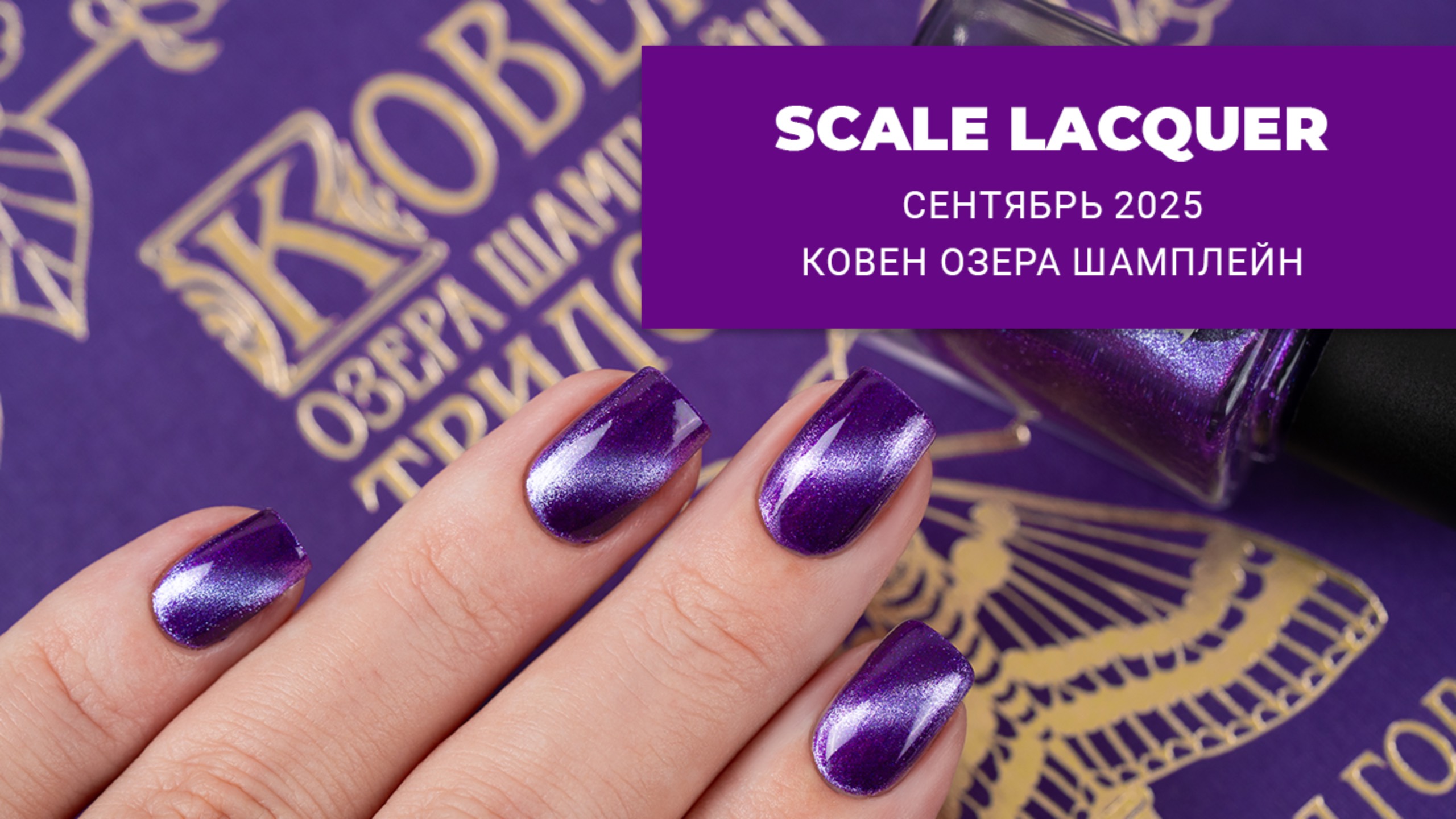 SCALE LACQUER Ковен Озера Шамплейн ||  сентябрь 2025