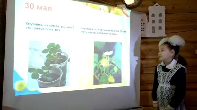 Наша клубника январь 2020 НПК смотреть онлайн