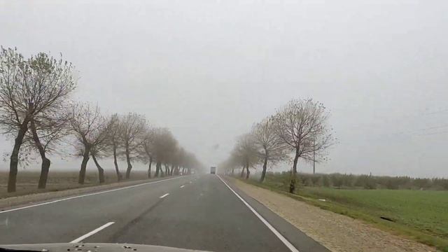 На Кубани трава зеленая круглый год